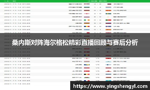 桑内斯对阵海尔格松精彩直播回顾与赛后分析
